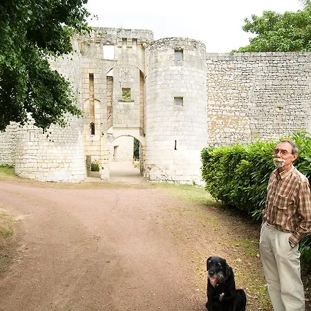 Château De La Roche Martel *