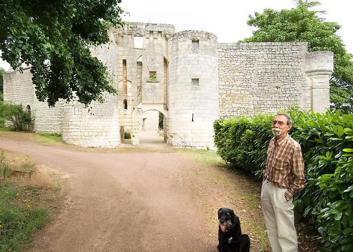 Chateau De La Roche Martel *
